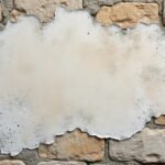 découvrez si la peinture à la chaux est adaptée aux murs anciens sujets à l’humidité. avantages, précautions et conseils pour une application durable sur supports humides.